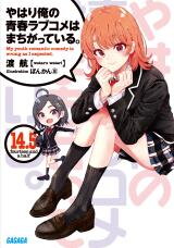 Yahari Ore no Seishun Rabukome wa Machigatte Iru. (Novel) Novel