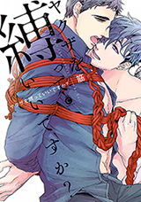 Yakuza wo Shibatte Ii Desuka Manga