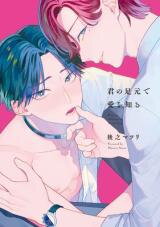 Kimi no Ashimoto de Ai wo Shiru Manga