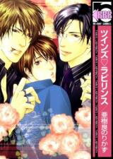 Twin's Labyrinth Manga
