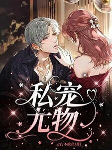 Beloved Treasure Web Novel (CN)