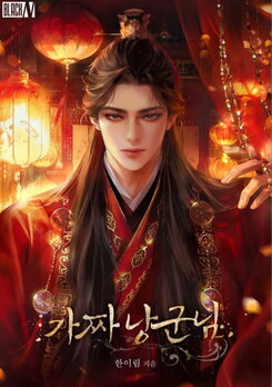 Fake Husband Web Novel (KR)