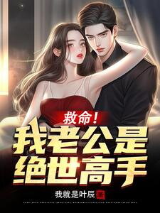 Help! My Husband is a Peerless Master! Web Novel (CN)