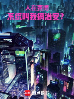 Keeping the Peace in a Cyber World? Web Novel (CN)