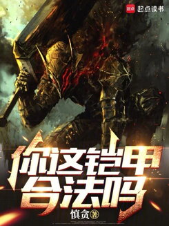 Is That Armor Even Legal? Web Novel (CN)