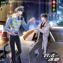 Legal Violation Web Novel (CN)