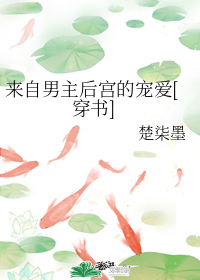 Love from the Male Protagonist’s Harem Web Novel (CN)
