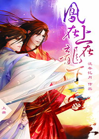Phoenix Top and Dragon Bottom Web Novel (CN)