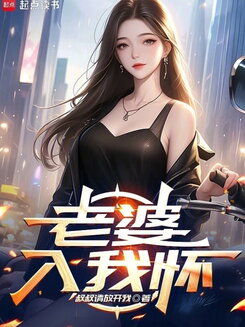 Rebirth: My Wife Is a Pop Diva Web Novel (CN)