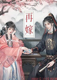 Remarry Web Novel (CN)