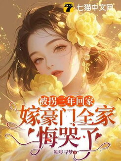 Sleepless Nights Web Novel (CN)