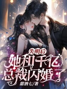 The Billionaire’s Blind Bride Web Novel (CN)