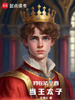 The Crown Prince of France Web Novel (CN)