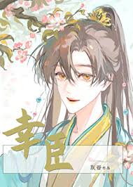 The Favored Minister Web Novel (CN)