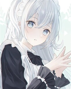 The Retired Assassin is Now a Legendary Maid Web Novel (CN)