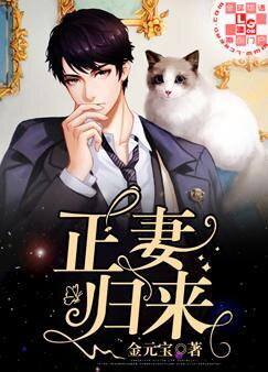 The Return of the Wife Web Novel (CN)