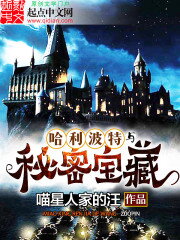 Harry Potter and the Secret Treasures Web Novel (CN)