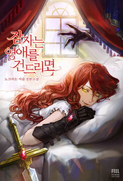 If You Disturb The Sleeping Lady Web Novel (KR)