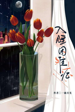 Insomnia Web Novel (CN)