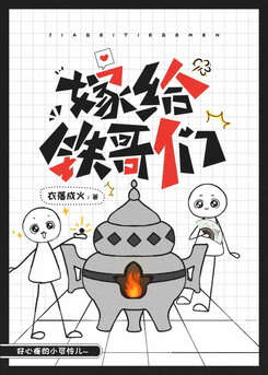 Marry My Iron Buddy Web Novel (CN)