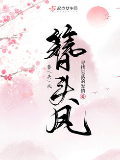 Phoenix Hairpin Web Novel (CN)