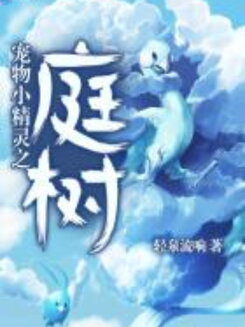 Pokémon Court Web Novel (CN)