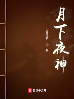 Realm of the Night God Web Novel (CN)