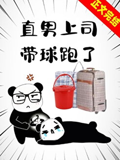The Straight Male Boss Ran Away with the Ball Web Novel (CN)
