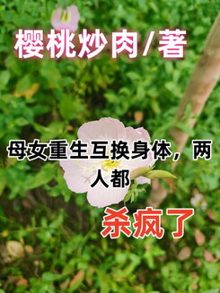 Reborn in Each Other’s Bodies: A Mother and Daughter’s Deadly Revenge Web Novel (CN)