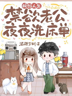Remarried Life: The Abstinent Husband Washes the Sheets Every Night Web Novel (CN)