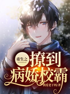 Rebirth: Flirting with the School Bully Web Novel (CN)