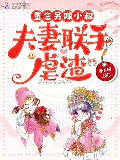 Rebirth: Marrying the Brother-in-Law, A Couple United to Crush the Scum Web Novel (CN)