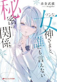 Tsun’na Megami-sama to Darenimoienai Himitsu no Kankei Light Novel (JP)