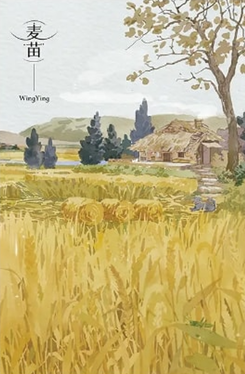 Wheat Seedlings Web Novel (CN)