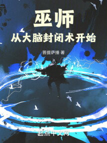Wizards Begin with Occlumency Web Novel (CN)