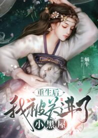 After the Rebirth, I Was Locked in a Small Dark Room Web Novel (CN)