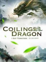 Coiling Dragon (Novel) Novel