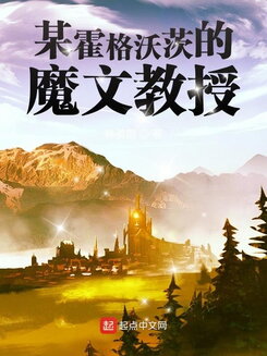 A Professor of Magic at Hogwarts Web Novel (CN)