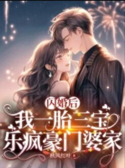 After a Flash Marriage, I Had Triplets and Found Joy in a Wealthy Family In-Laws Web Novel (CN)