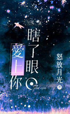 Blind, Falling In Love with You Web Novel (CN)