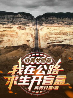 Collecting Beauties Illustrated Handbook, I Open Blind Boxes in Highway Survival Web Novel (CN)