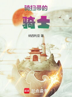 Dear Honorable Broom Knight Web Novel (CN)