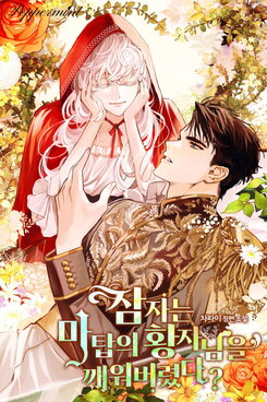 Did I Wake Up The Sleeping Prince Of The Magic Tower? Published Novel (KR)