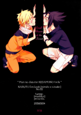 Naruto dj - Mori no Chiisana Kedamonotachi Doujinshi