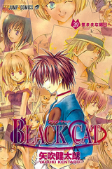 Black Cat Manga
