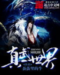 Zhenwu Shijie (Novel) Novel