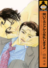 Aiteru Door kara Shitsurei Shimasu yo Manga