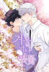 Cherry Blossoms After Winter Manhwa