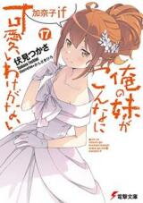 Ore no Imouto ga Konna ni Kawaii Wake ga Nai (Novel) Novel