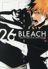 Bleach Manga